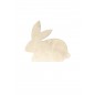 Hase